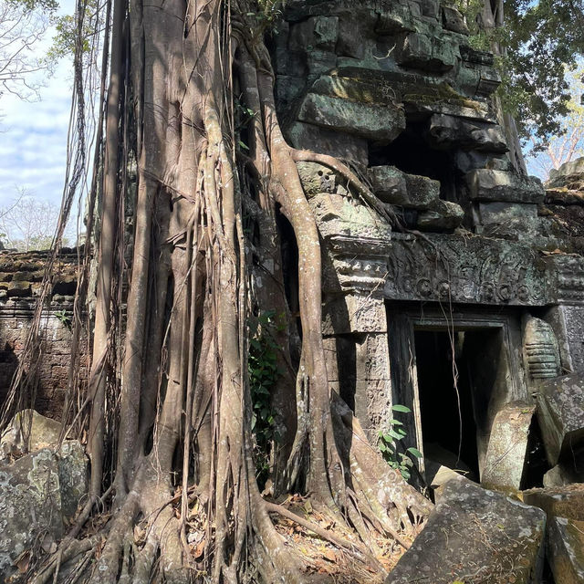 Exploring the Temples of Angkor Wat