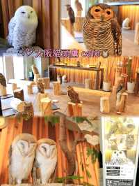 大阪貓頭鷹 Café 🦉 Owl Café 🦉