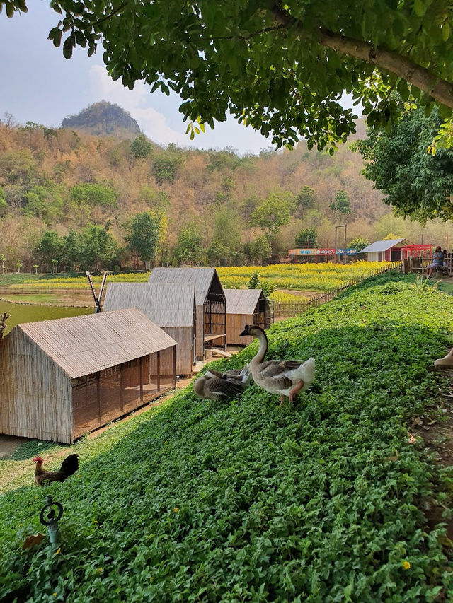  🌳 Keeree Mantra Kanchanaburi