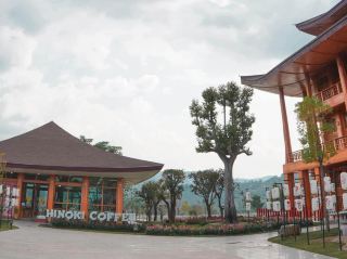Hinoki Landヒノキ, 檜