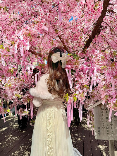 🎀リボン×桜🌸 の組み合わせが最強に可愛い神社⛩ | Trip.com 東京