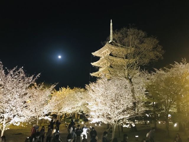 【京都/南区】京都を代表するランドマークタワー「五重塔」
