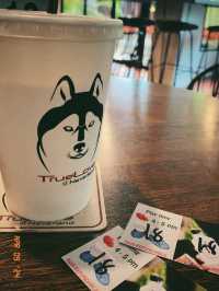 【タイ🇹🇭】大型犬🐩ハスキー大渋滞！ハスキーカフェ完全攻略☕️