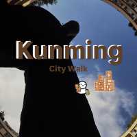 🇨🇳City Walk Kunming🇨🇳