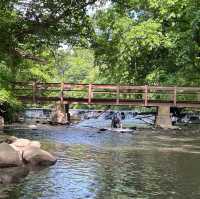 Paddling Through the Unseen Bronx: A Journey of Discovery