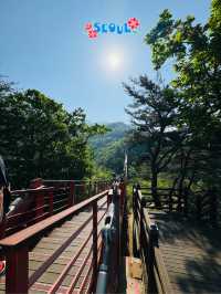 🇰🇷 Let’s go hiking to Gamaksan Suspension Bridge