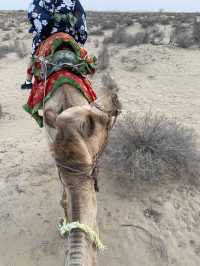 インドの砂漠ツアーはラクダに長時間乗れちゃう🐪刺激的なひととき