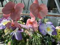 Changi Airport 