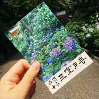 ハートのあじさいと癒しのひととき：三室戸寺の魅力