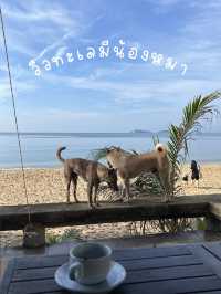 รีวิวที่พักติดทะเล ระยอง