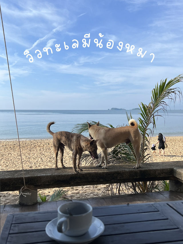 รีวิวที่พักติดทะเล ระยอง