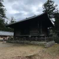 Nara Park: A Journey Through Japan’s Ancient Heart