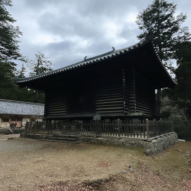Nara Park: A Journey Through Japan’s Ancient Heart
