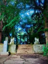 必見のパワースポット✨辰年🐉はここ行って！圧巻の彫刻群が魅せる穴場すぎる神社🥹特典🅿️マップ付き❗️