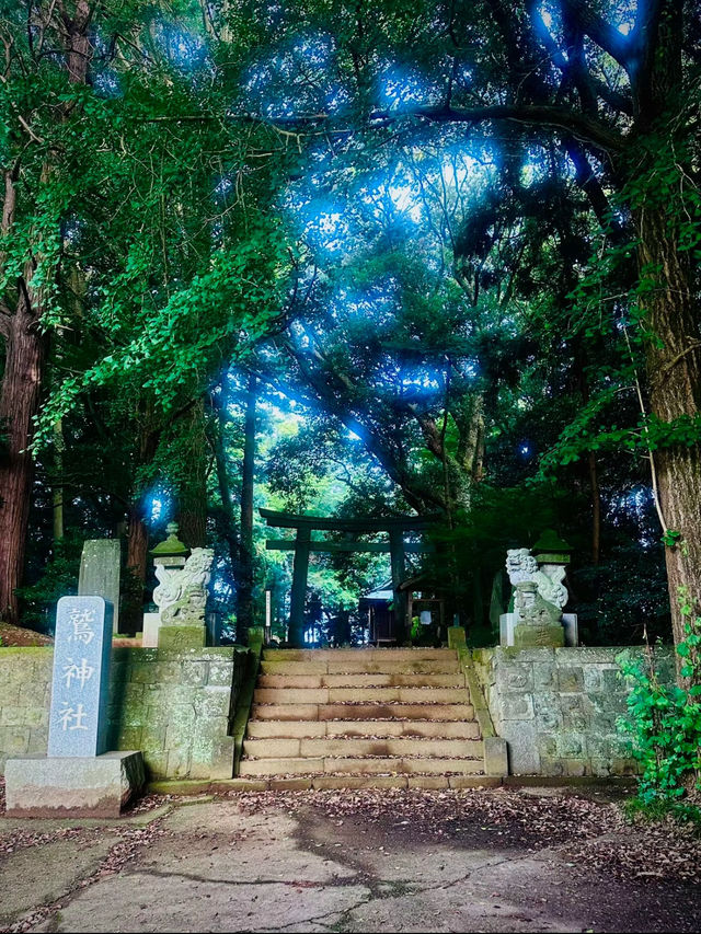 必見のパワースポット✨辰年🐉はここ行って！圧巻の彫刻群が魅せる穴場すぎる神社🥹特典🅿️マップ付き❗️