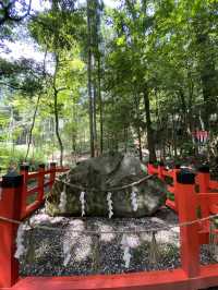 【京都観光】身も心も清められる出雲大神宮で御参拝⛩️
