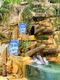 Get Close to Animals at Singapore Zoo