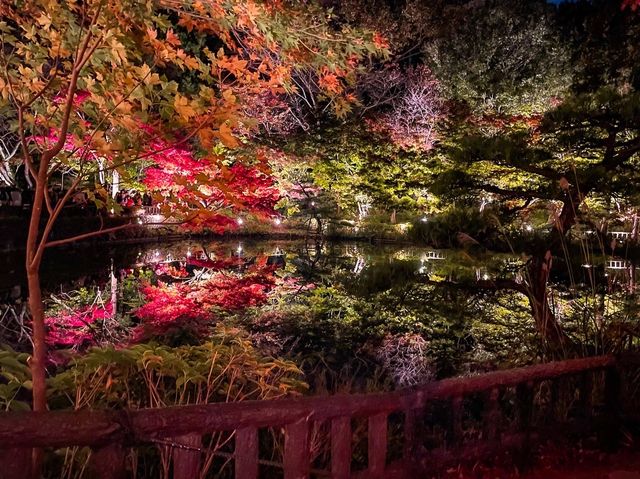 【名古屋】期間限定！まるで万華鏡✨水面に映る美しい紅葉