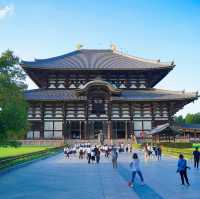 日本大阪｜奈良景點「東大寺」