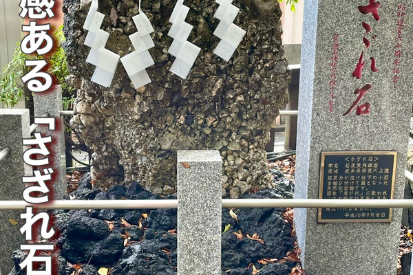 東京都】存在感ある「さざれ石」がある神社 | Trip.com 東京