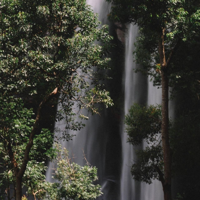  อุทยานแห่งชาติภูจองนายอย 