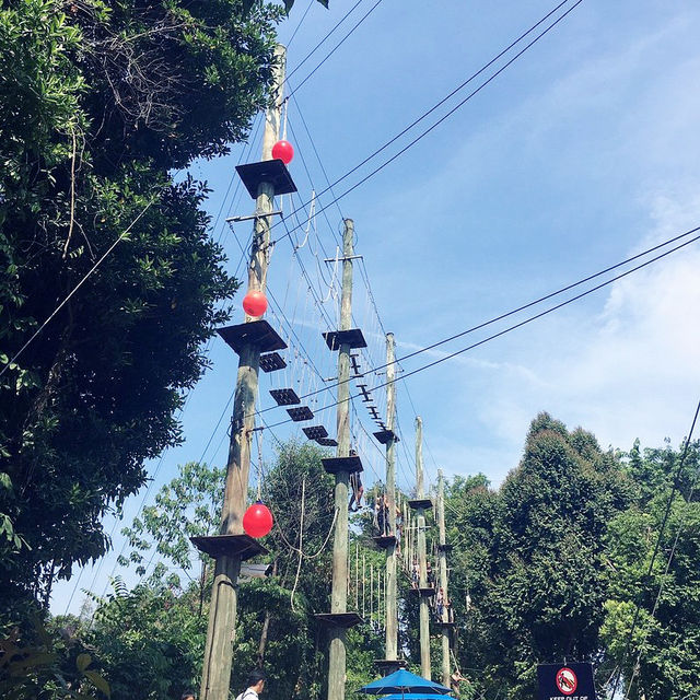 Thrilling Outdoor Mega Adventure in Sentosa
