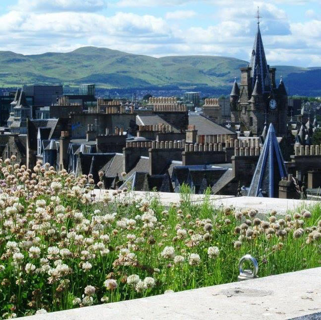 Calton Hill: จุดชมวิวเมือง Edinburgh ที่ไม่ควรพลาด