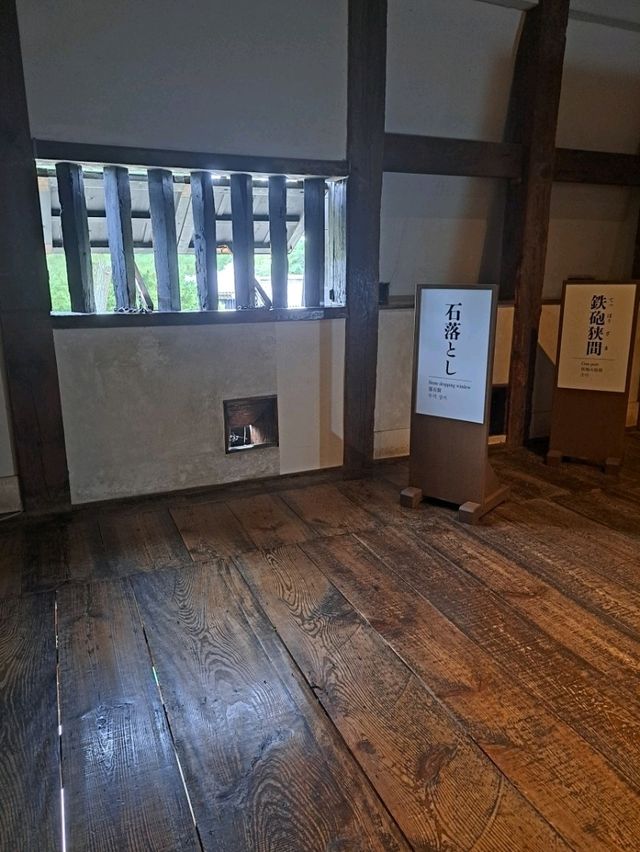 【島根旅】国宝のお城に登って松江の町並みを堪能しよう♪