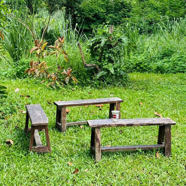อดิเรก คาเฟ่