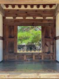 전주, 의외의 포토스팟 <경기전>