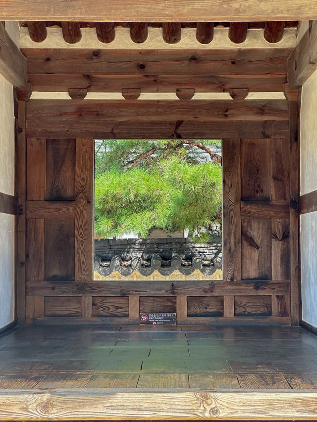 전주, 의외의 포토스팟 <경기전>