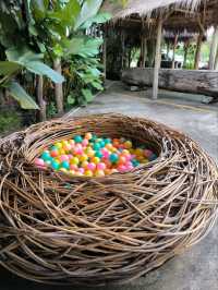 9 Tamarind Cafe ร้านมะขามส่งตรงจากฟาร์ม