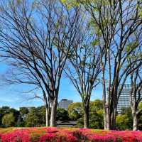 Very impressive garden & a must visit spot in Tokyo.