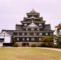 Black Castle Wonder: My Adventure Through Okayama’s Samurai History!