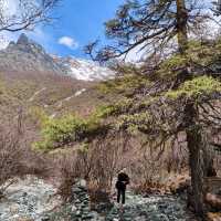 稻城亞丁:美麗景色,100種旅行方式