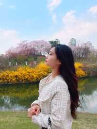 꽃 명소는 이곳!!
