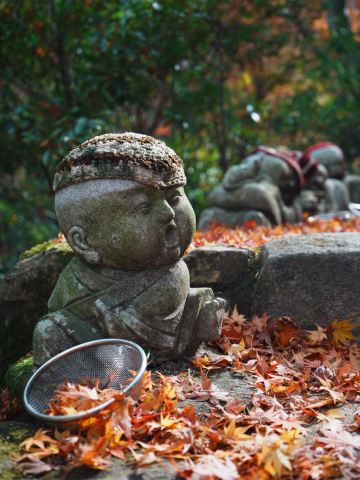 Hiroshima Tourism] Miyajima Daisho-in Temple, surrounded by solemn