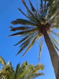 💚Stunning Famous Park in Barcelona👍A MUST Visit👍