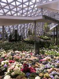 พิกัดสวนดอกไม้ติดแอร์สุดชิล Miracle of Natural🌷