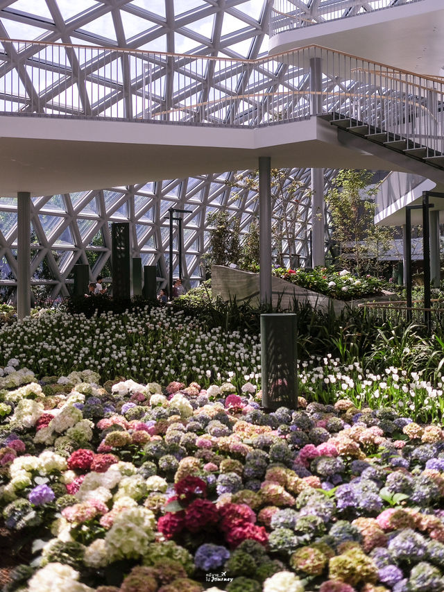 พิกัดสวนดอกไม้ติดแอร์สุดชิล Miracle of Natural🌷