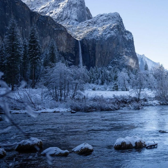 A collection of wintry reflection after fresh snowfall