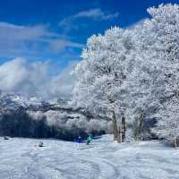 Nozawa Onsen