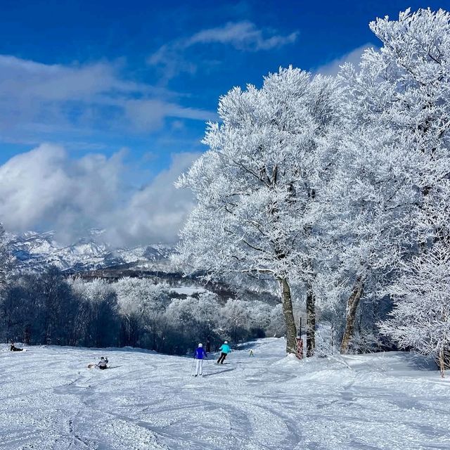 Nozawa Onsen