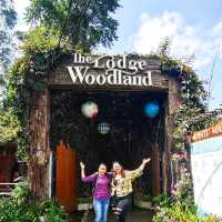Bandung is a must visit if you love nature 