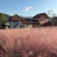 Herb Island: A Serene Escape from Seoul’s Bustle 🇰🇷