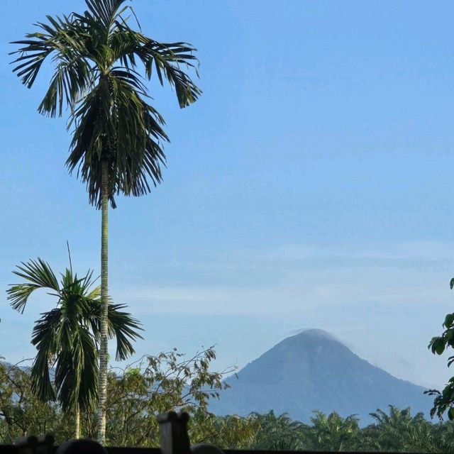 A Serene Escape at Baan Rai I Arun