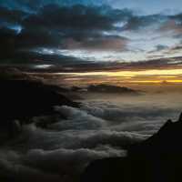 Munnar Magic: Unraveling the Charm of Kerala's Hill Station