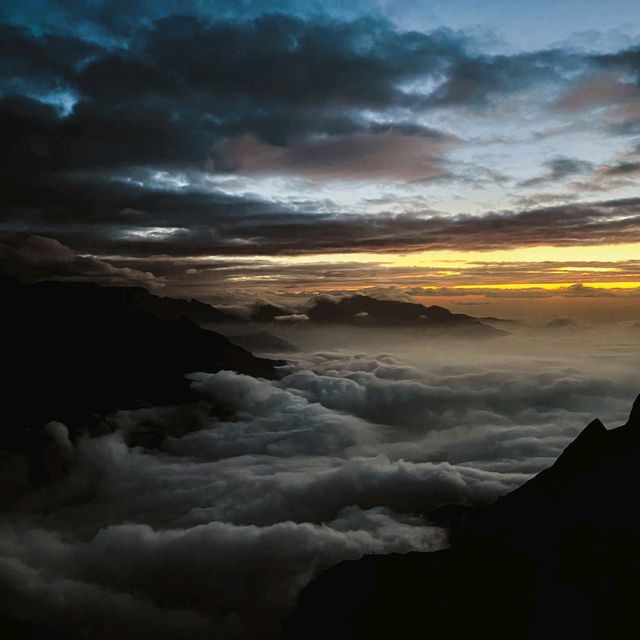 Munnar Magic: Unraveling the Charm of Kerala's Hill Station