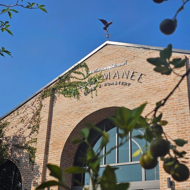 Anyamanee Cafe and Roastery : สมุทรปราการ