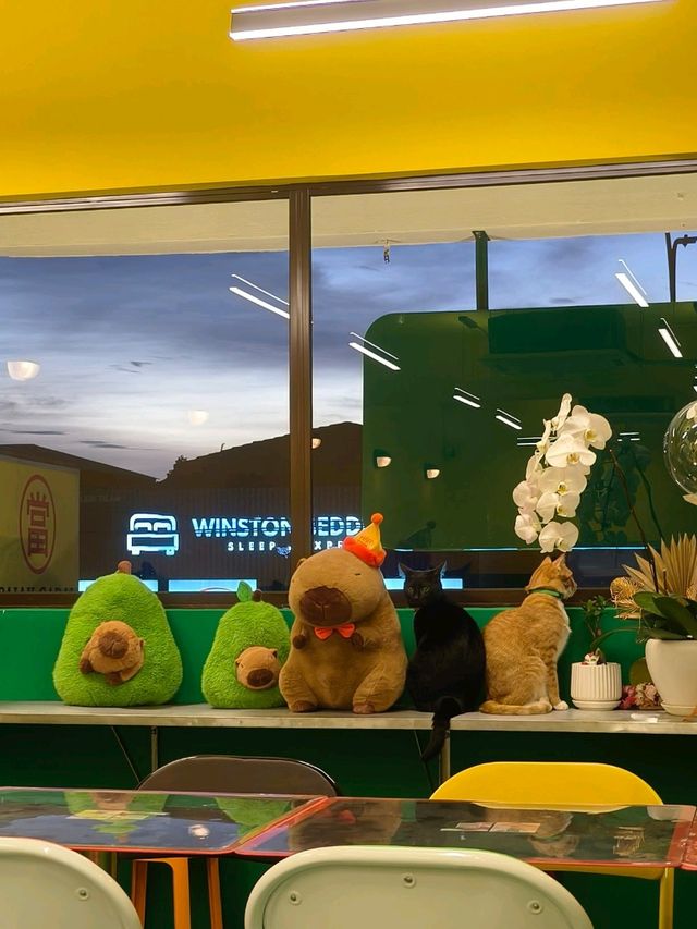 Tsuru Tsuru Cafe: A Playful Retreat for Udon Lovers